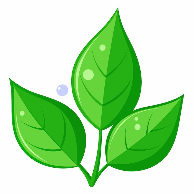 green clipart
