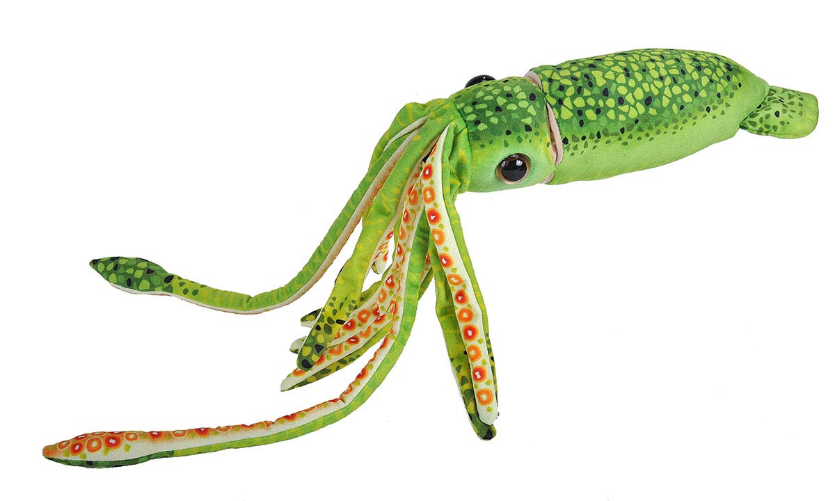 Wild Republic 23546 Wr Print, Squid Green: Amazon.de: Toys