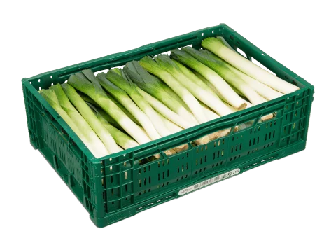 green tray cliparts 2024