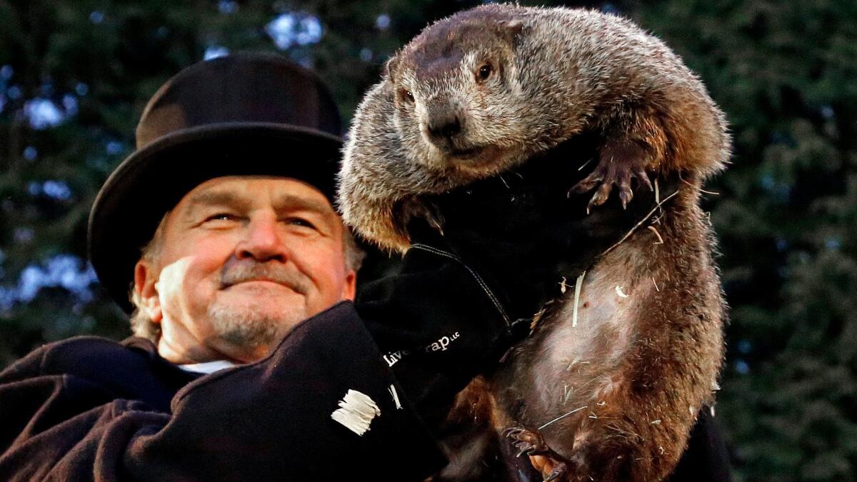 Its Groundhog Day: Here are 5 things to know - Los Angeles Times