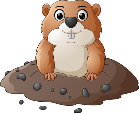 Cartoon Groundhog Images – Browse 9,839 Stock Photos, Vectors, and ...