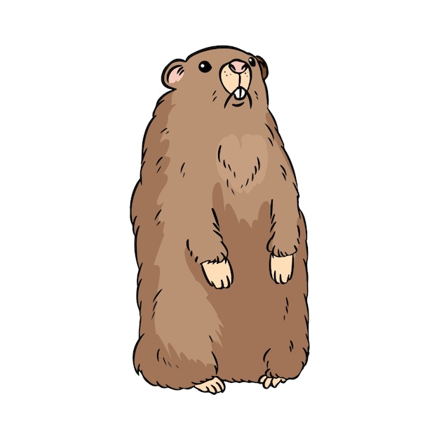 groundhog pictures cartoon