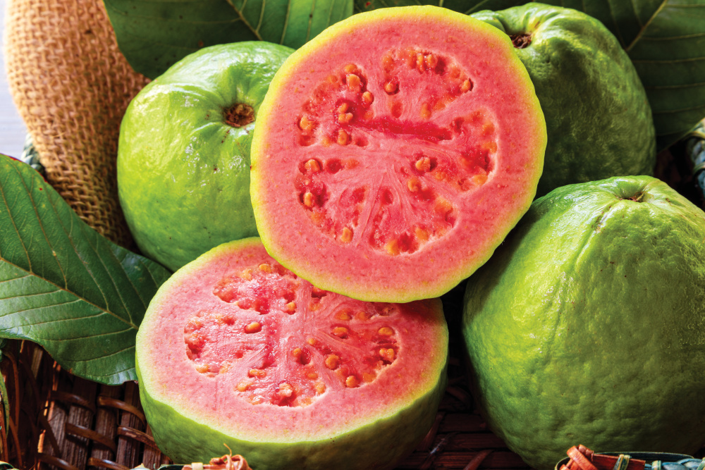 Farm Facts: Guava - Florida Farm &amp; Family