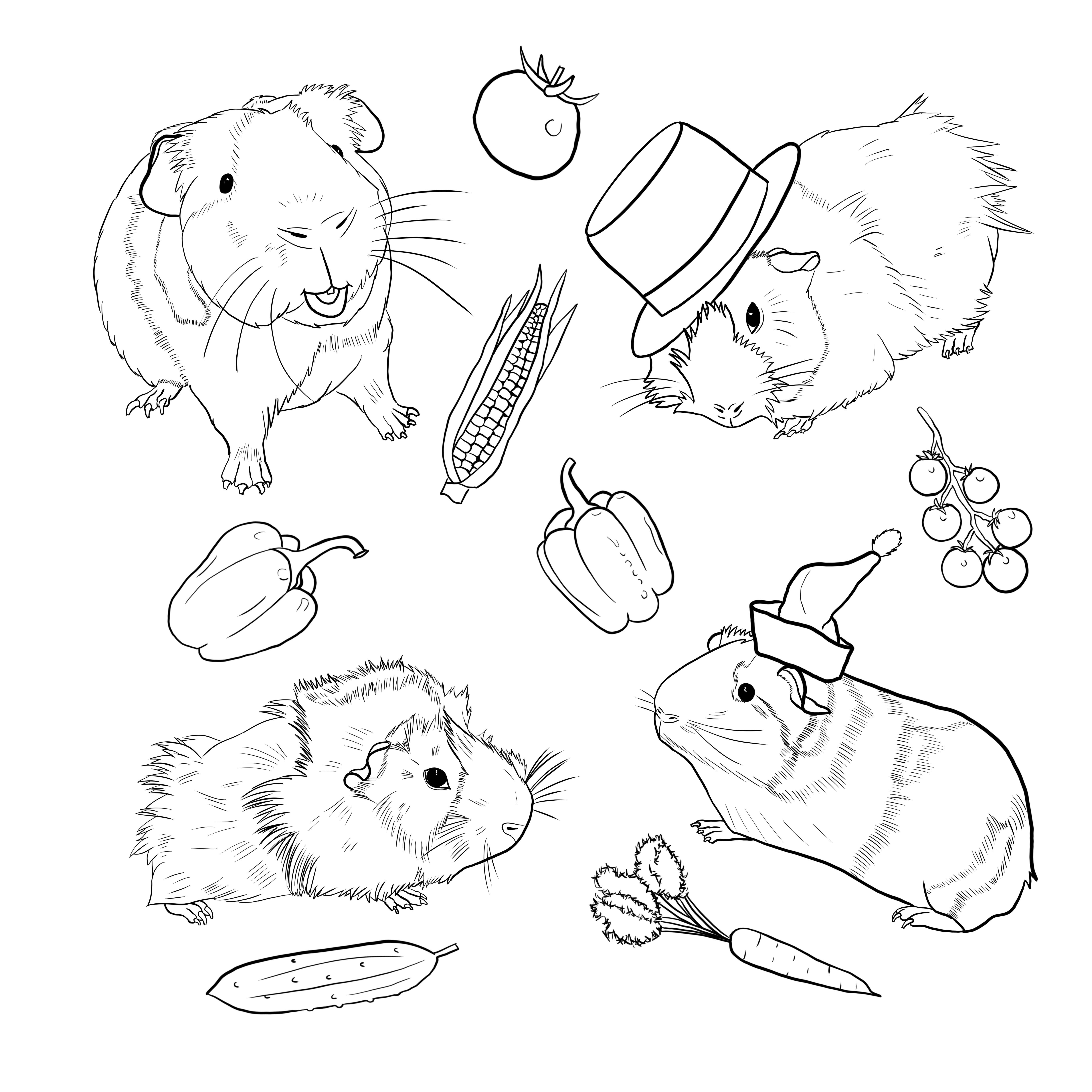 guinea pig coloring pages