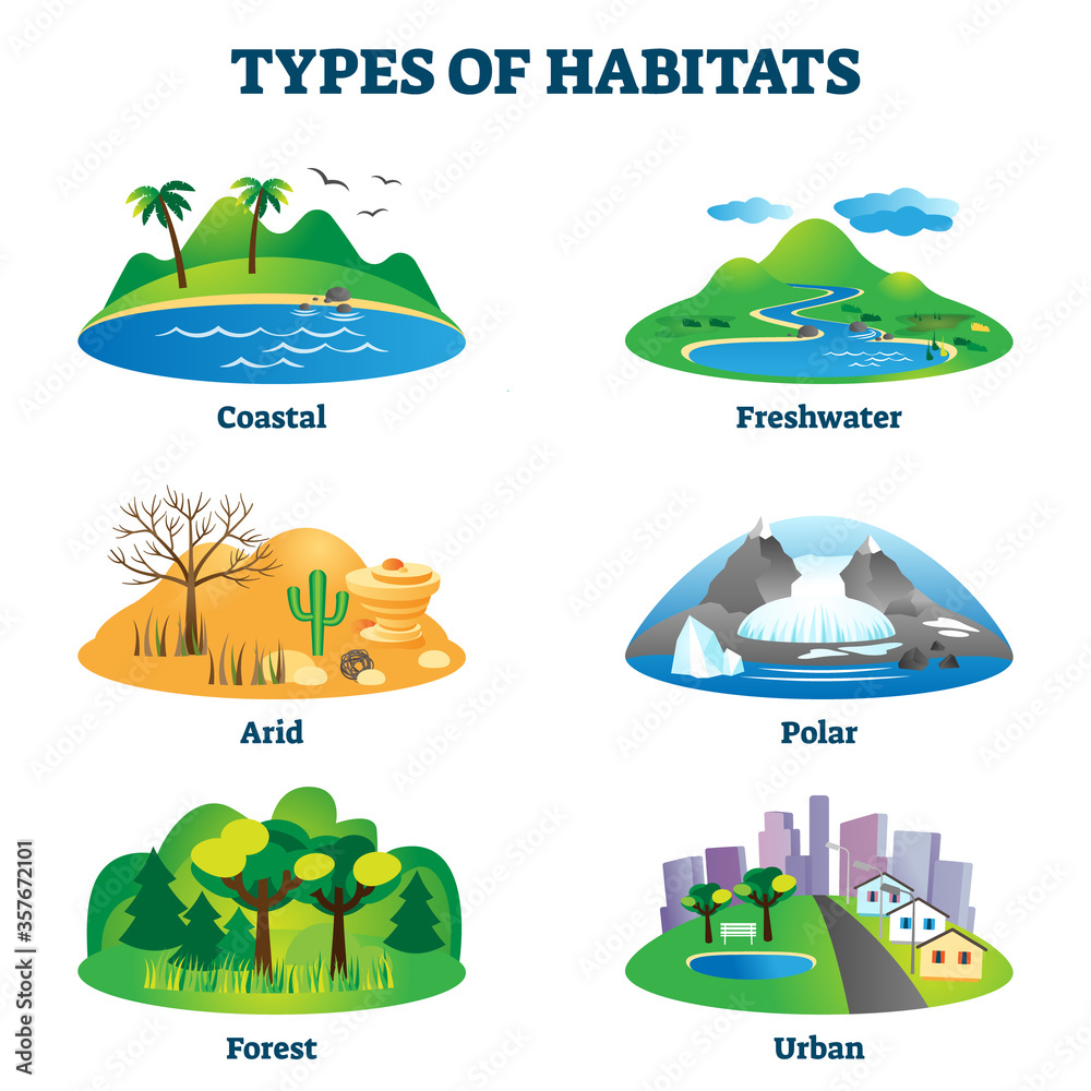 Types of habitats vector illustration. Labeled various species ...