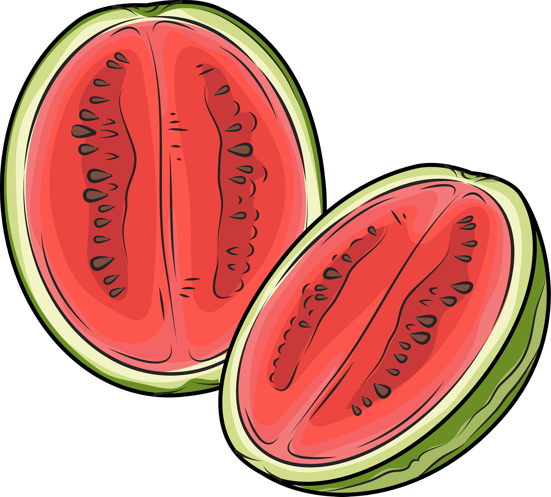 Watermelon cut in half - Free vector clipart images on clipart library.com