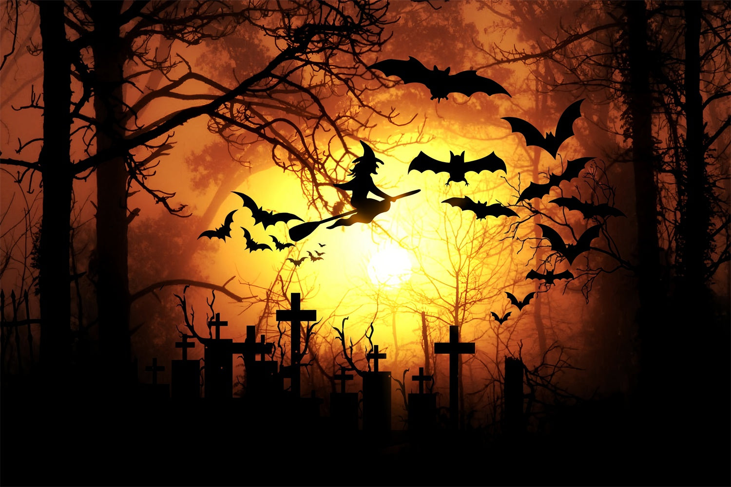 halloween pictures bats