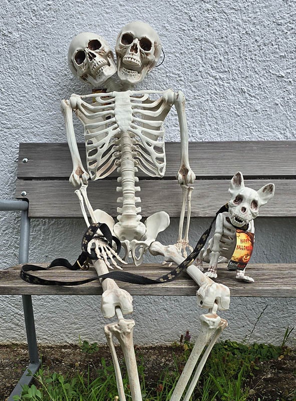 halloween skeleton