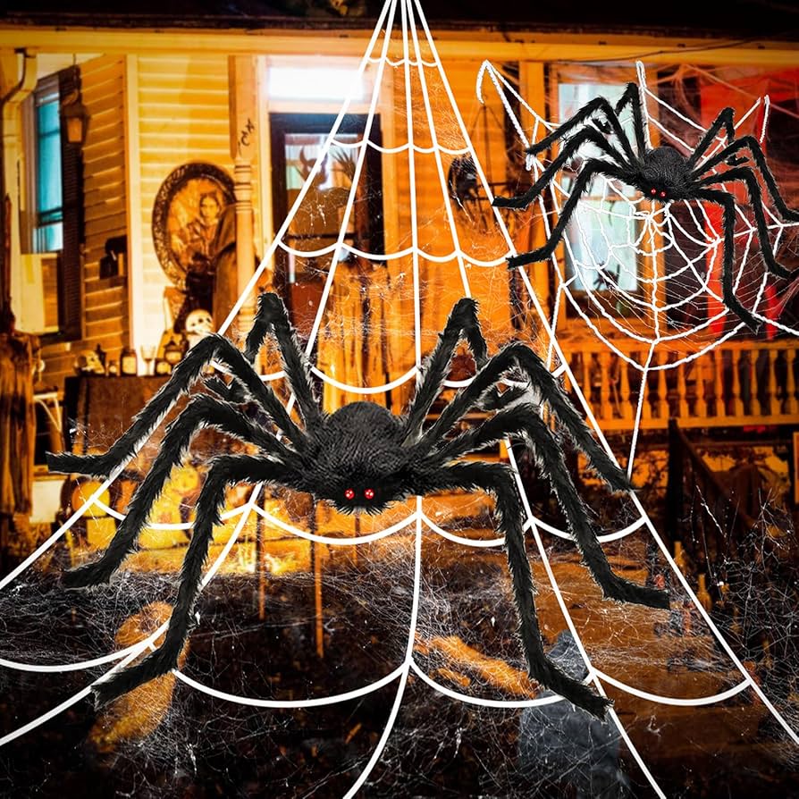 halloween spider pictures