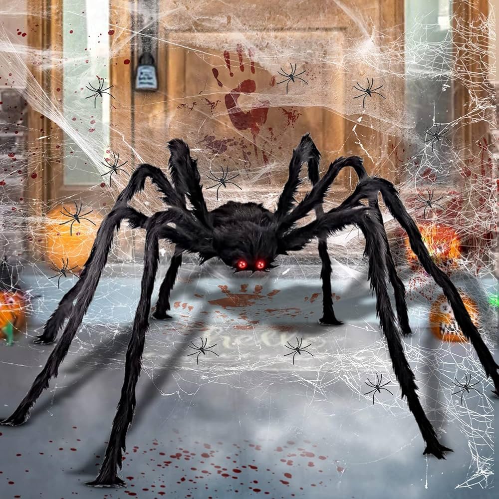 halloween spider pictures