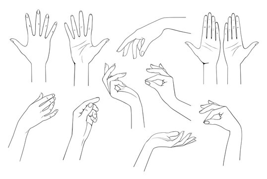 Hand Drawing-Bilder: Stock-Fotos &amp; -Videos. | Adobe Stock