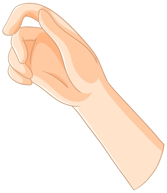 hand hold cliparts 2024