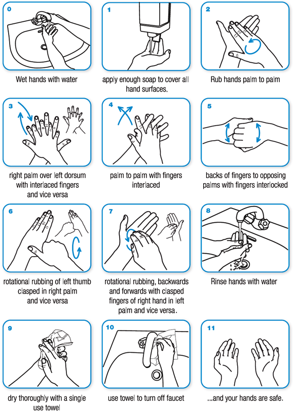 The Importance of Hand Hygiene - Your World