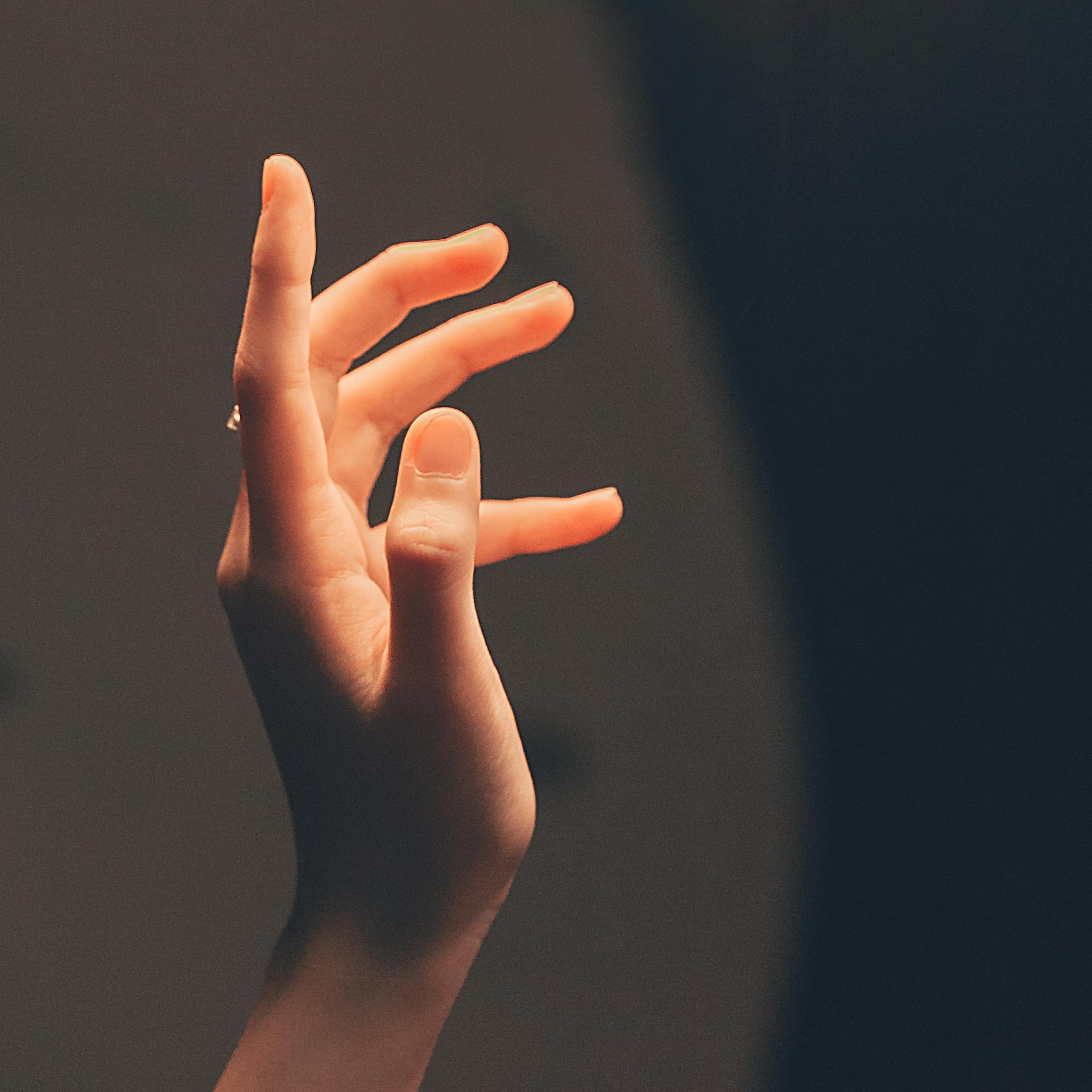 Hands Photos, Download The BEST Free Hands Stock Photos &amp; HD Images