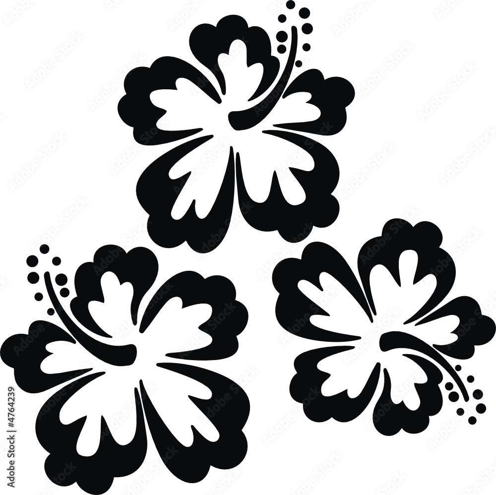 flores hawaii Stock Vector | Adobe Stock