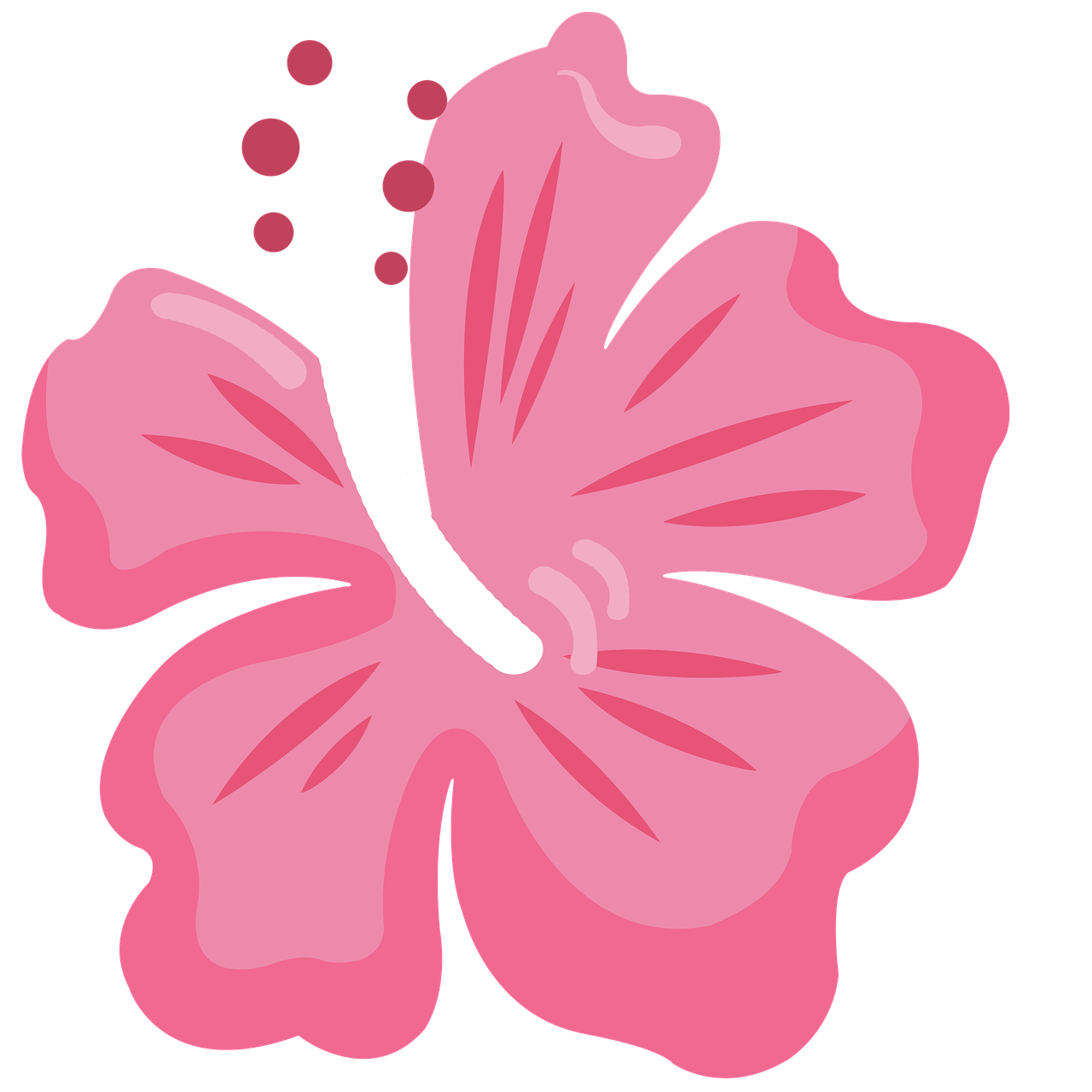 hawaii flores