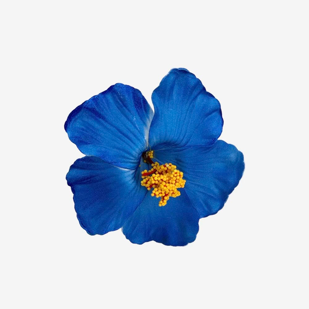 hawaii flower cliparts 2024