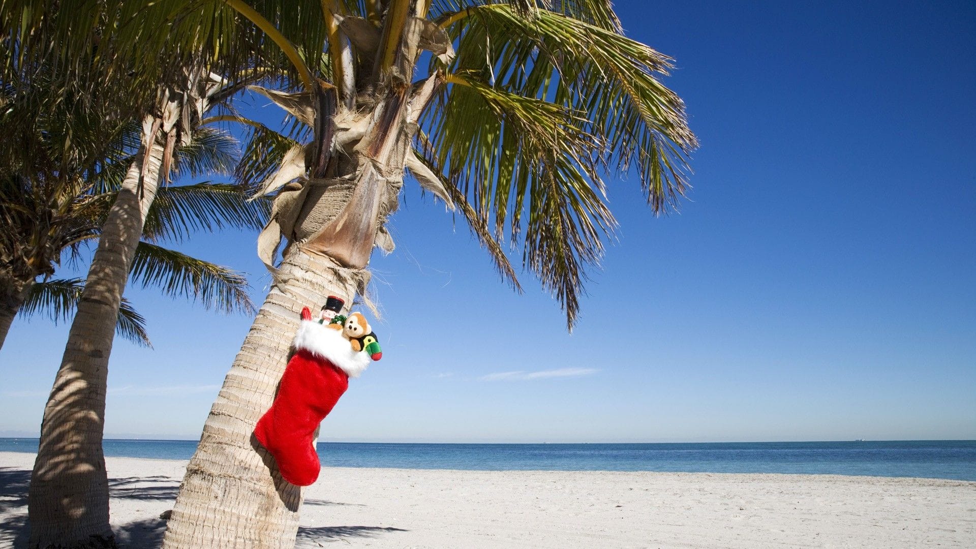 HOW DO THEY CELEBRATE CHRISTMAS IN HAWAII? | Sea Paradise