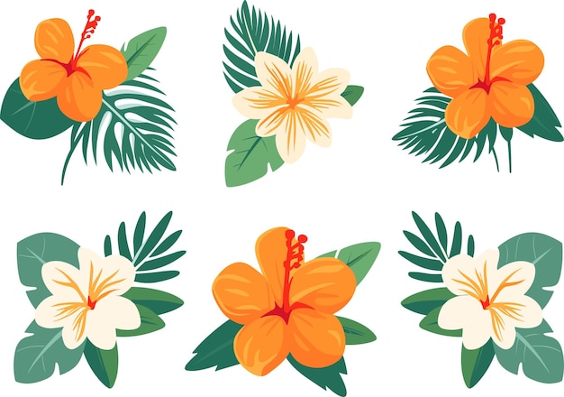 Set of tropical flowers set of hawaiian flowers vector ...