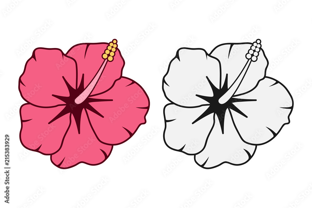 Hibiscus flower. Tropical Hawaiian flower set. Vector illustration ...