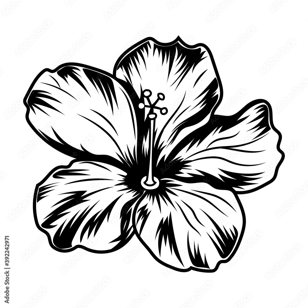 Retro hibiscus flower vector illustration. Monochrome sticker of ...