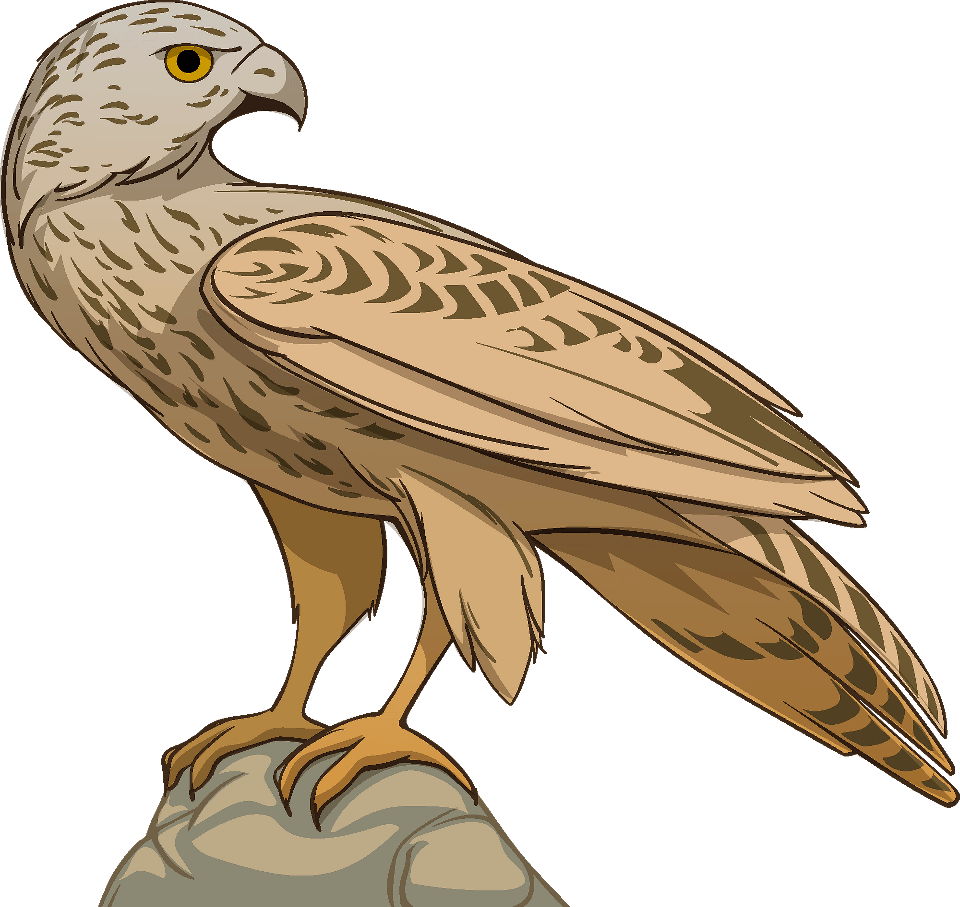 hawk clipart 2024