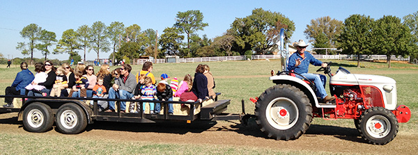 Hayrides at Halls Pumpkin Farm and Corn Maze in Grapevine, Texas