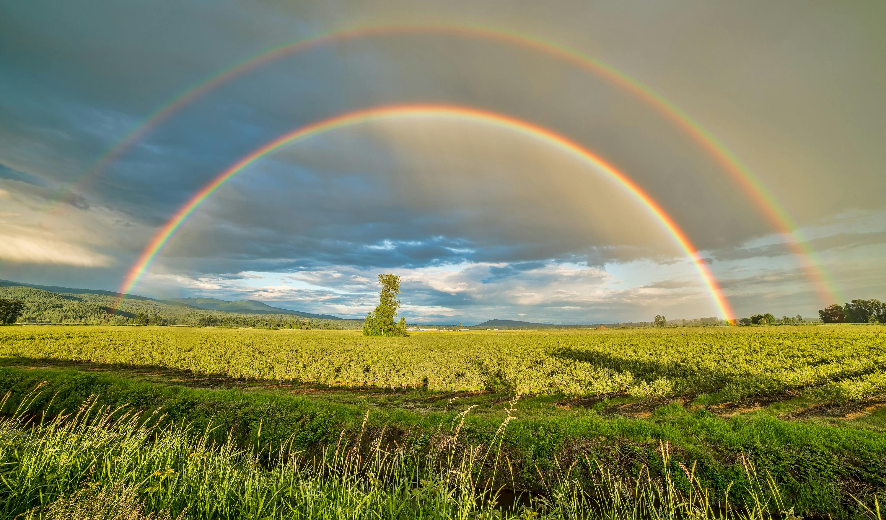 Rainbow Photos, Download The BEST Free Rainbow Stock Photos &amp; HD ...