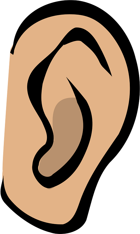 Ear - Free vector clipart images on clipart library.com