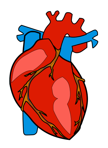 Heart Science Cliparts - Cliparts Zone
