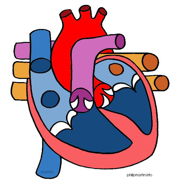 heart science cliparts