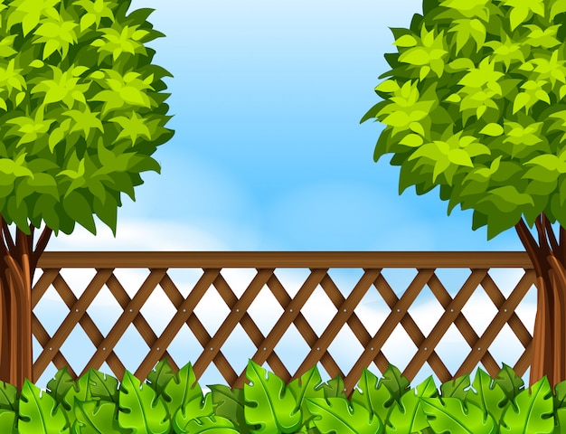 hedge tree cliparts
