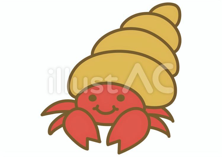 hermit crab clipart 2024