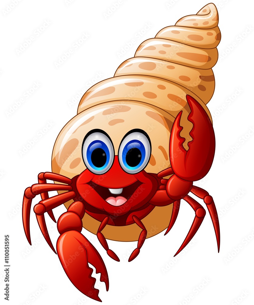 hermit crab clipart 2024