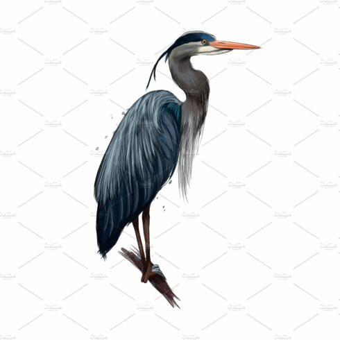 heron cliparts 2024