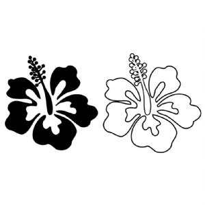 hibiscus clipart