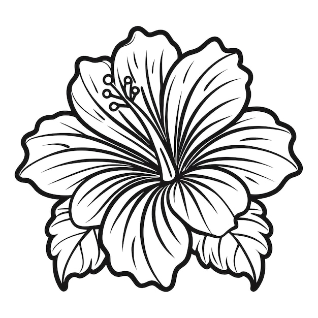 hibiscus flower clipart