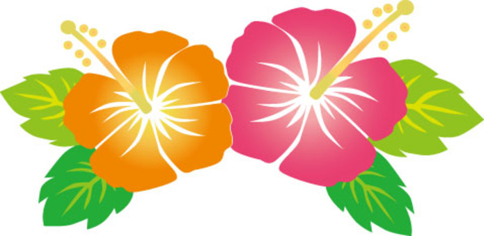hibiscus flower cliparts