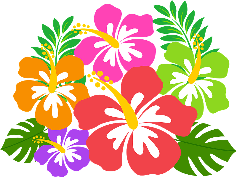 hibiscus flower cliparts