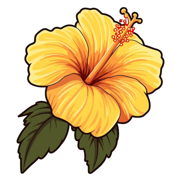 hibiscus flower cliparts