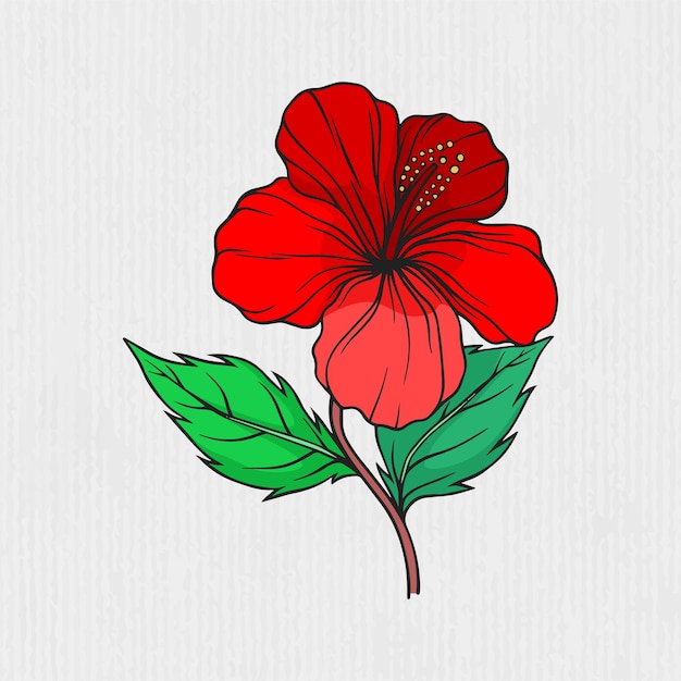 Premium Vector | Red hibiscus flower design illustration