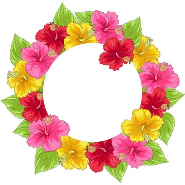 hibiscus frame cliparts 2024
