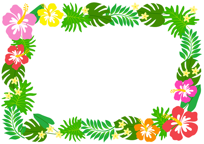 hibiscus frame cliparts 2024