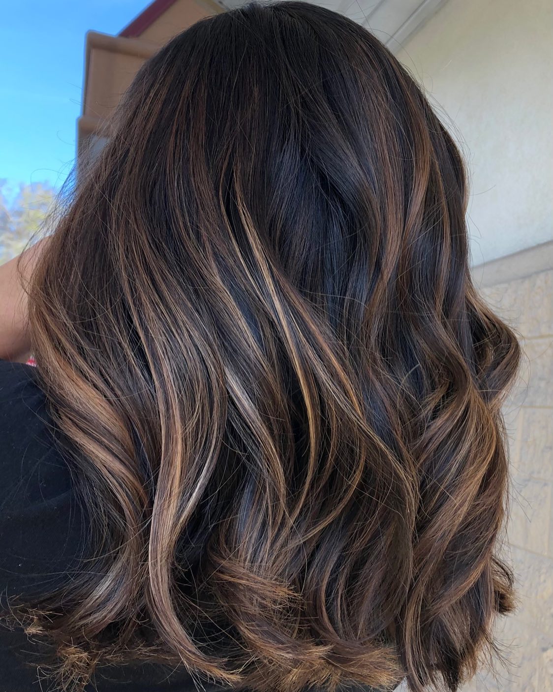 Dark hair top with light highlights