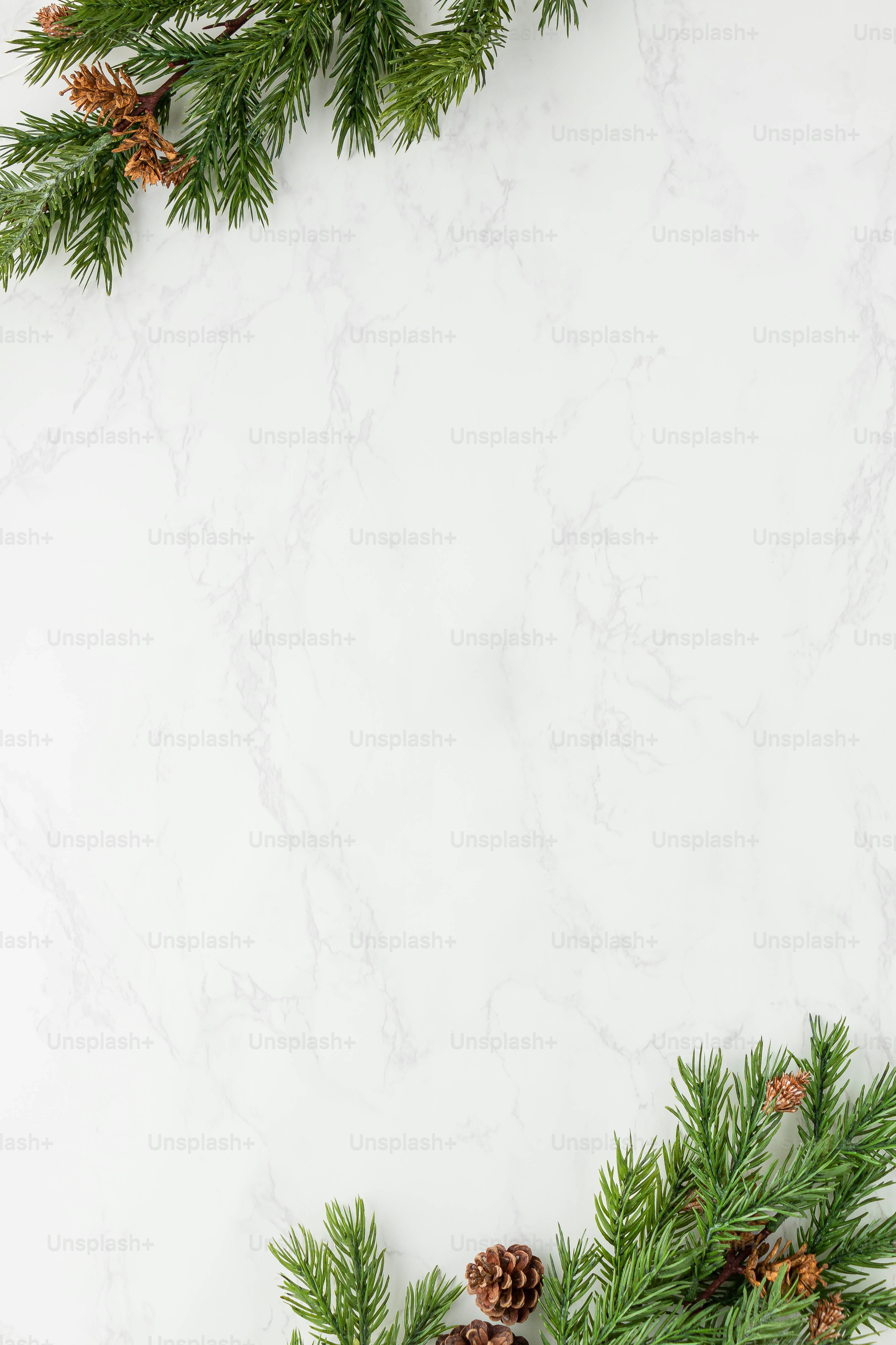 holiday season pictures