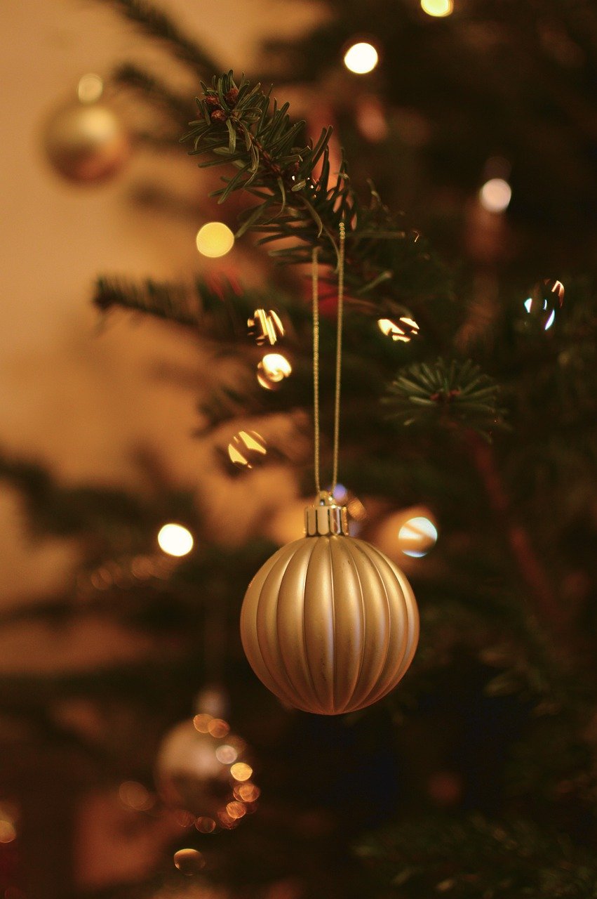 holiday season pictures