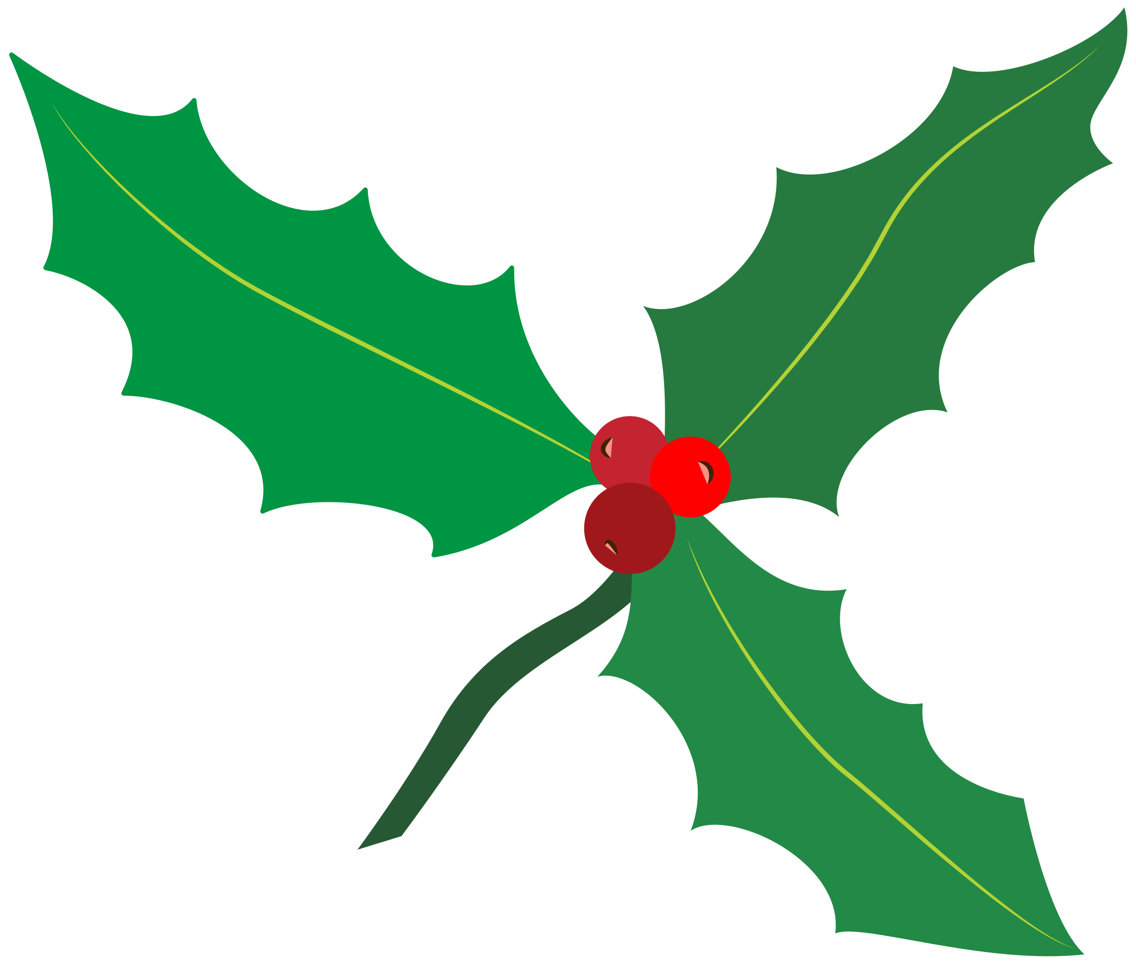 holly leaves clipart 2024