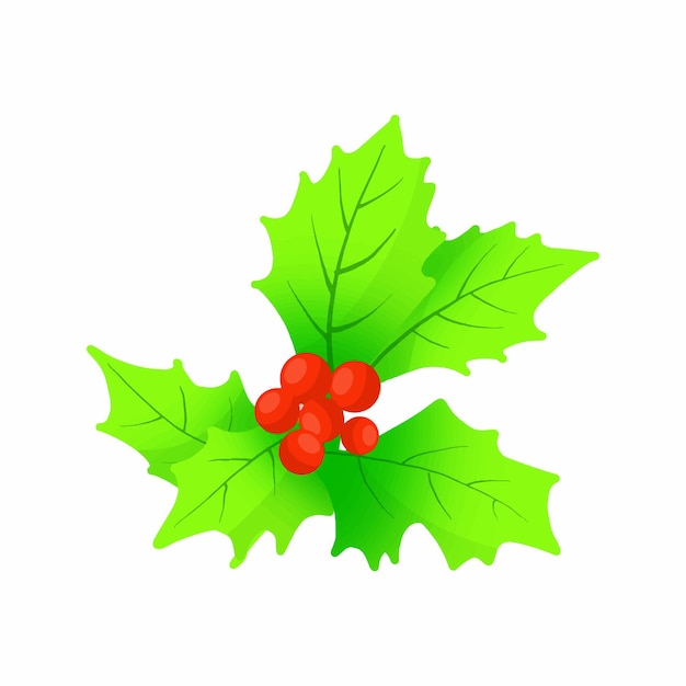 Holly Leaves Clipart Images - Free Download on clipart library