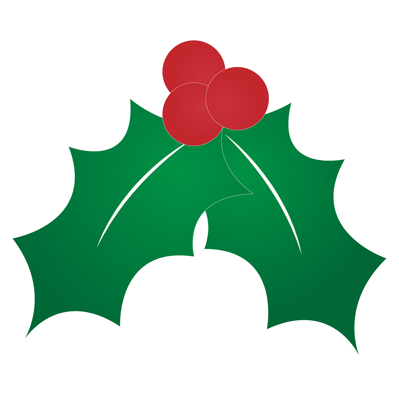 holly leaves images