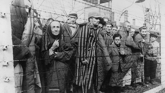 Auschwitz: Das Symbol des Holocausts schlechthin | NDR.de ...